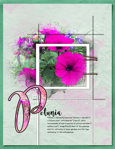 NBK Design Challenge: Showcase Fancy Alphas_Petunia