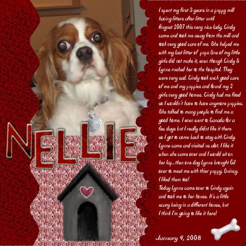 Nellie