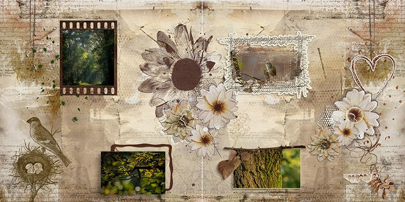 Nest