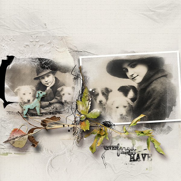 Never forget what you have