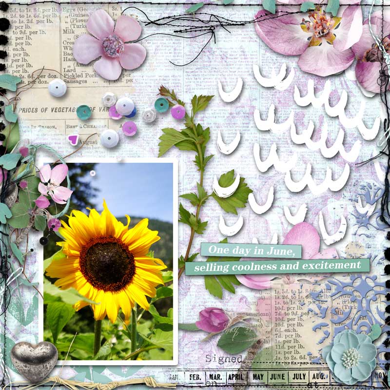 New Journey {June}
