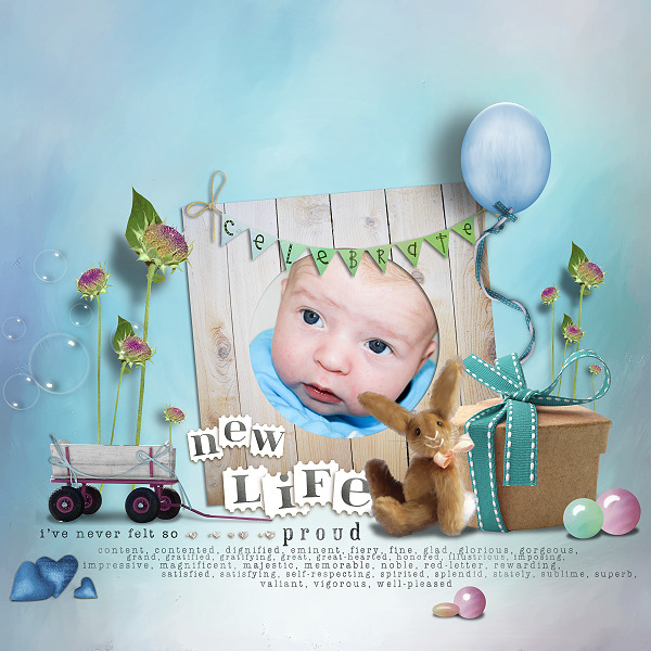 new life