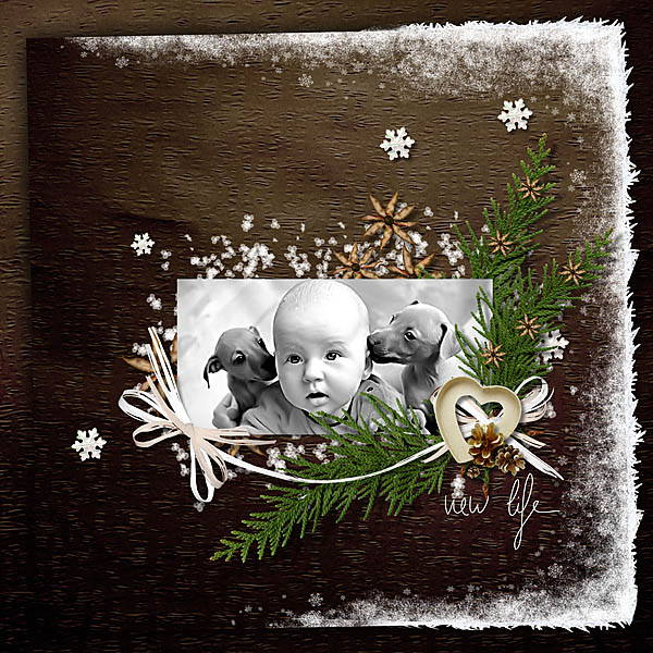 New life
