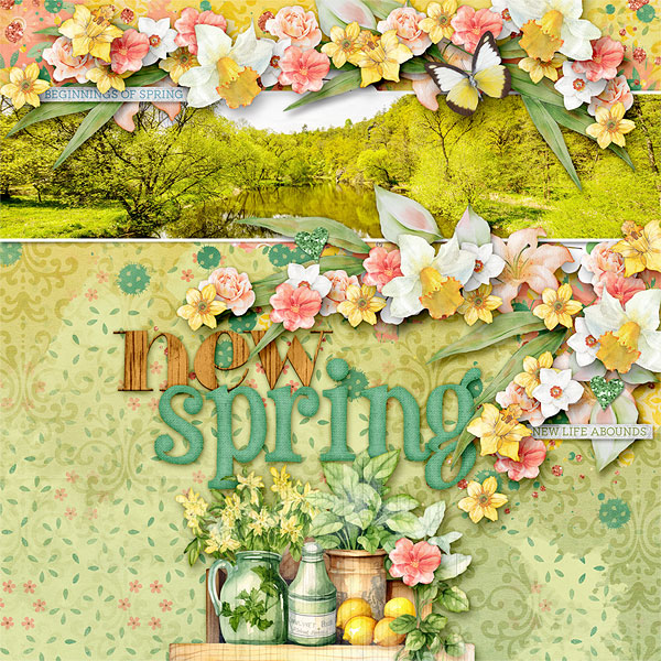 New Spring