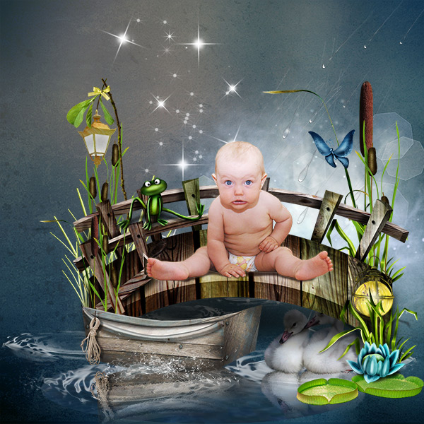 Night over the pond