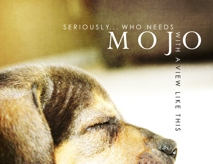 No Mojo??