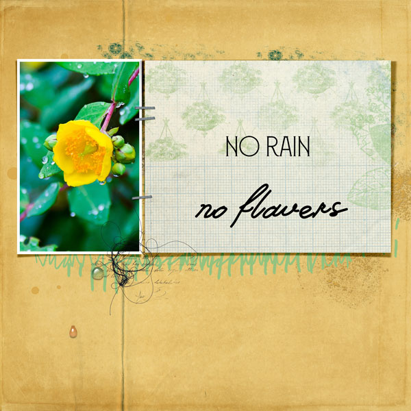 No rain - no flowers