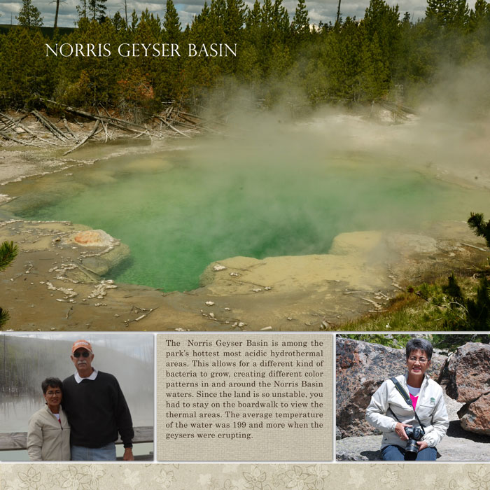 Norris Geyser Basin--left