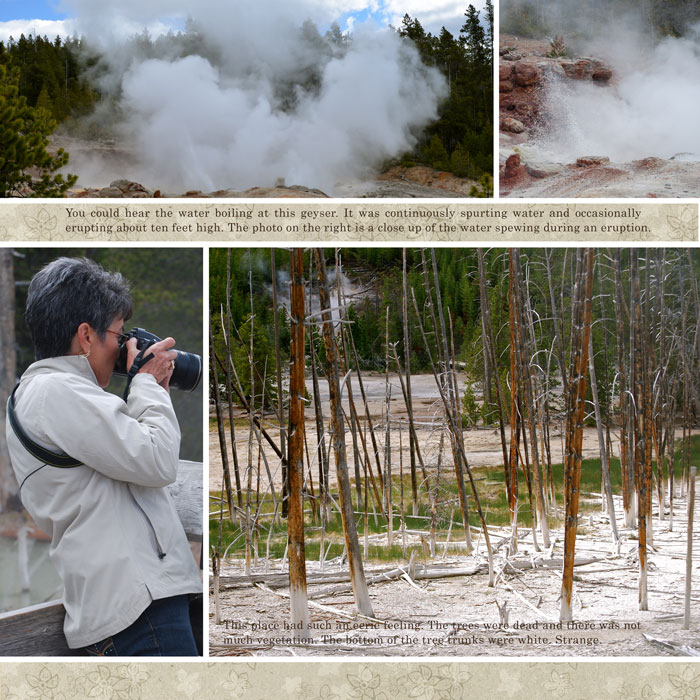 Norris Geyser Basin--right