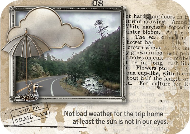 Not Bad Weather (ATC)