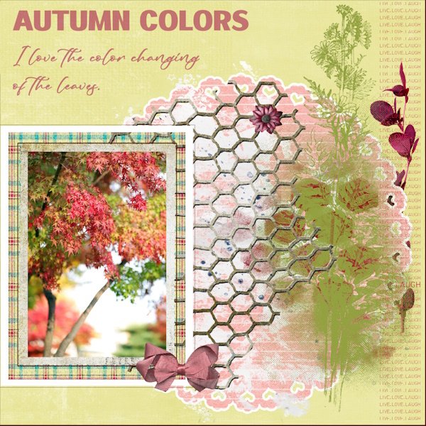 Nov.2025 Challenge # 7 - Font Challenge -Autumn colors.jpg