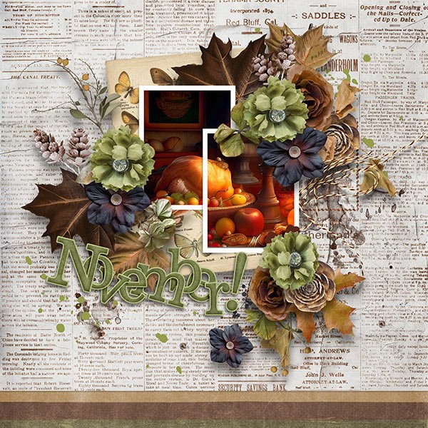 Nov 2025 Designer Challenge Carol W Designs