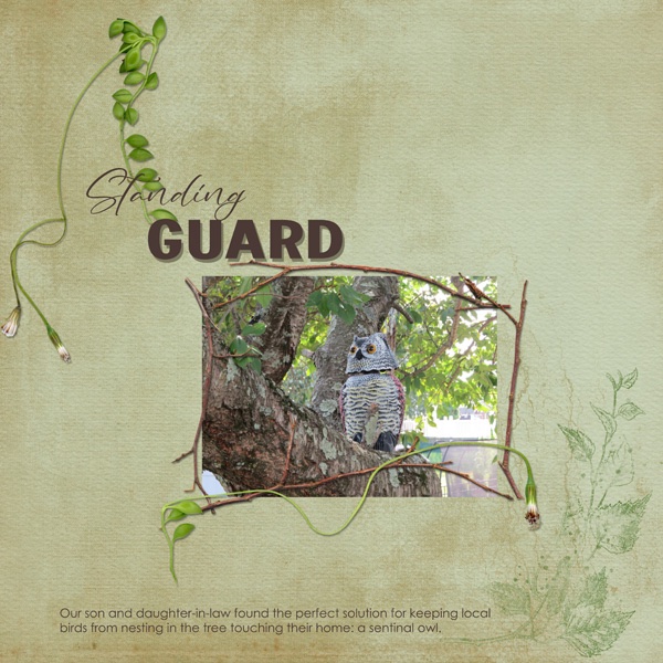 Nov Challenge 7 - Fonts.jpg