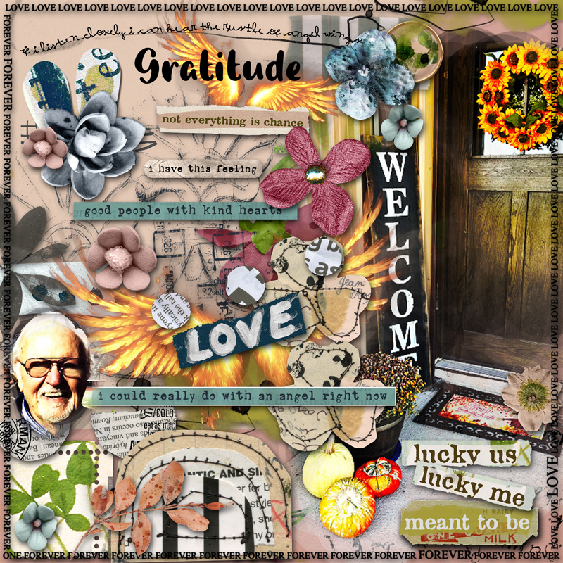 November AJ Challenge Week 2 {GRATITUDE}