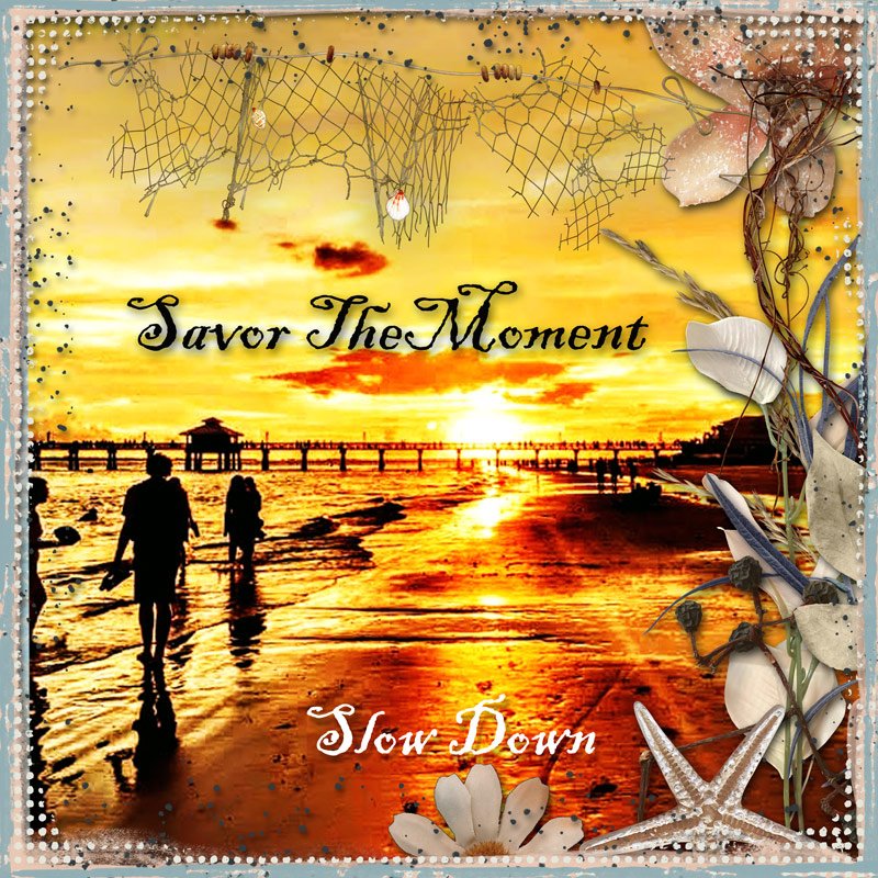 November AJ Wee 3 {Savor The Moment}