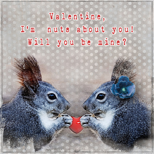 nuts About You Valentine