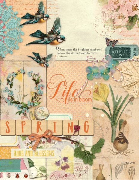 OAWA_2021-05_May_0518_Spring-Fever_Pocket-Page_web.jpg
