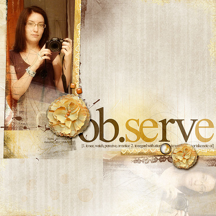 Observe