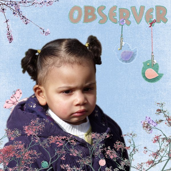 observer