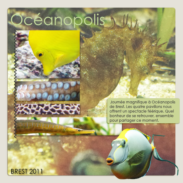 Ocanopolis 04