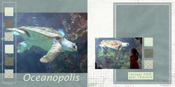 Oceanopolis