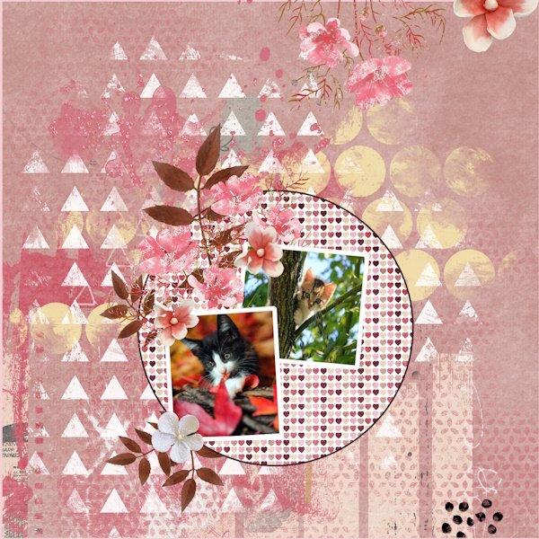 Oct. 2025 -Carol's Template Challenge -Kittens...jpg