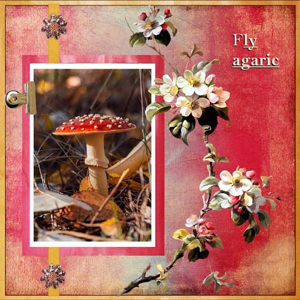 Oct.2025 Challenge #4 - Occasions and Themes-Fall-Autumn-Fly Agaric.jpg