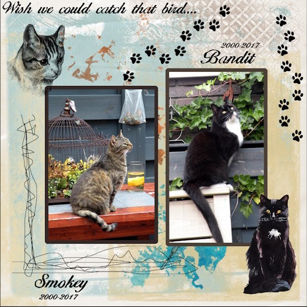 Oct.2025 Challenge #7 - WordArt-My Cats-birds....jpg