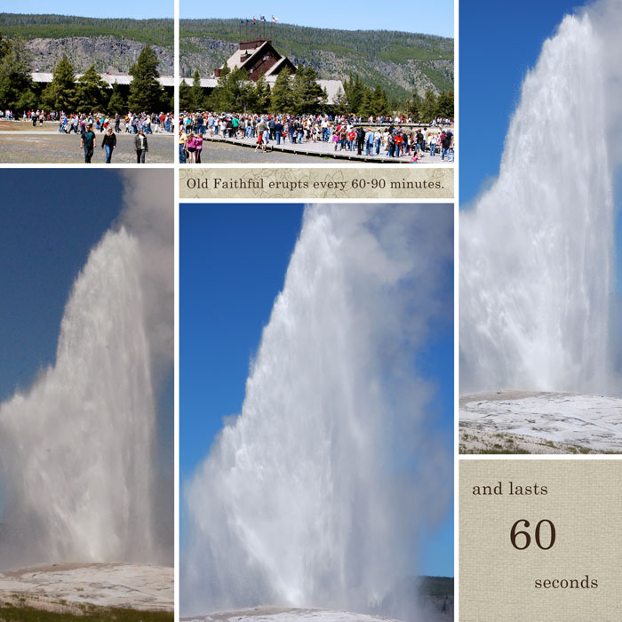 Old Faithful--right