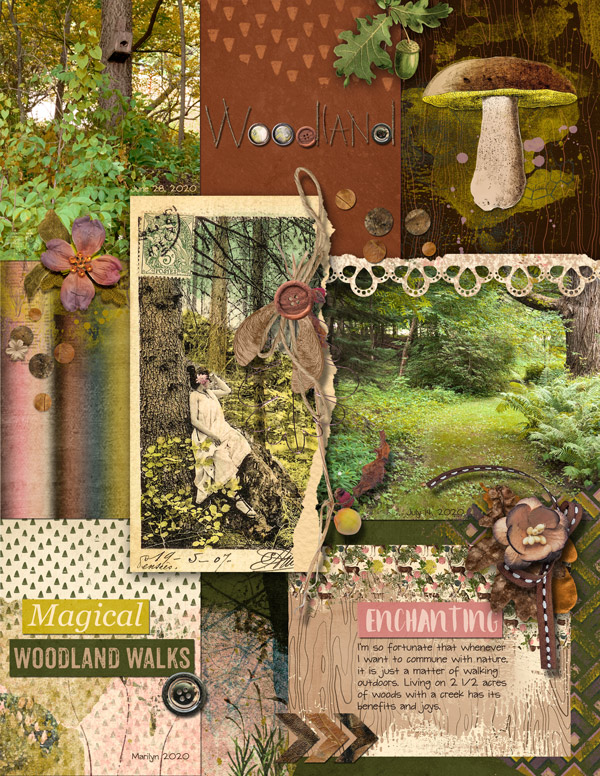 On A Whimsical Adventure