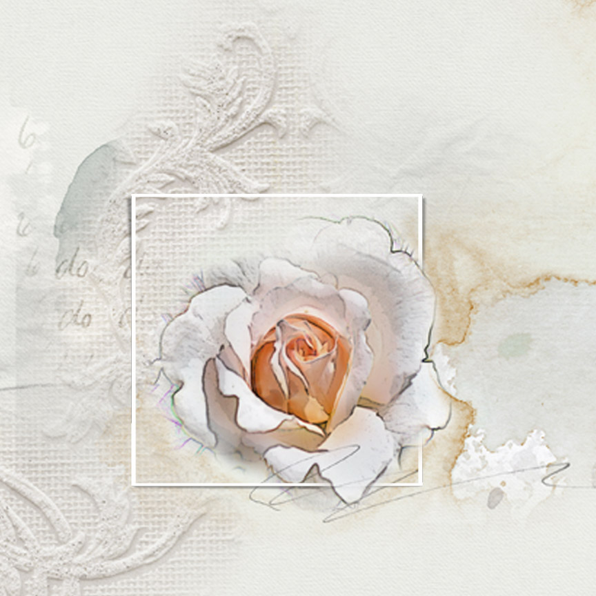 Only a  Rose