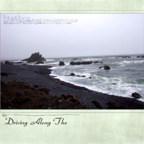 Oregon Coast 07