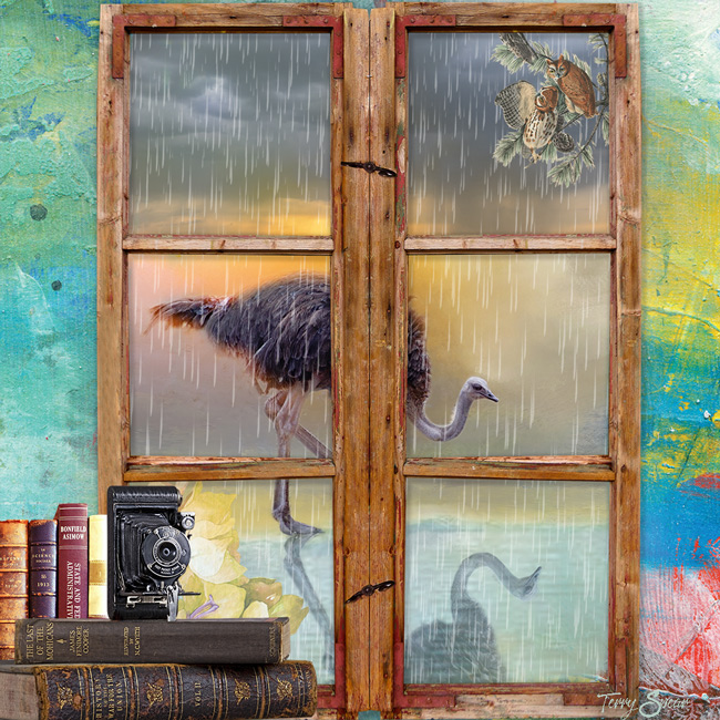 Ostrich-in-Window-VS-Challenge-June--What Makes Me Happy?