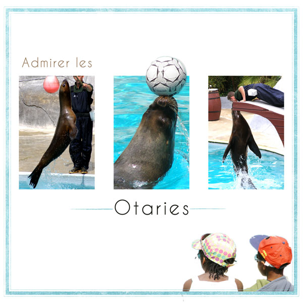 Otaries