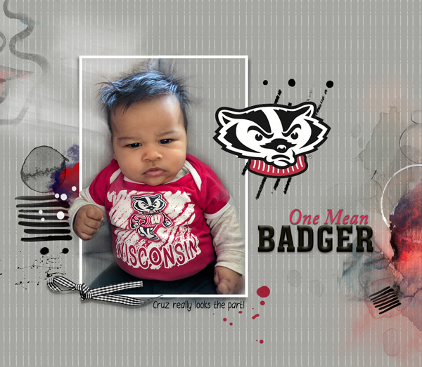 Our littlest Badger
