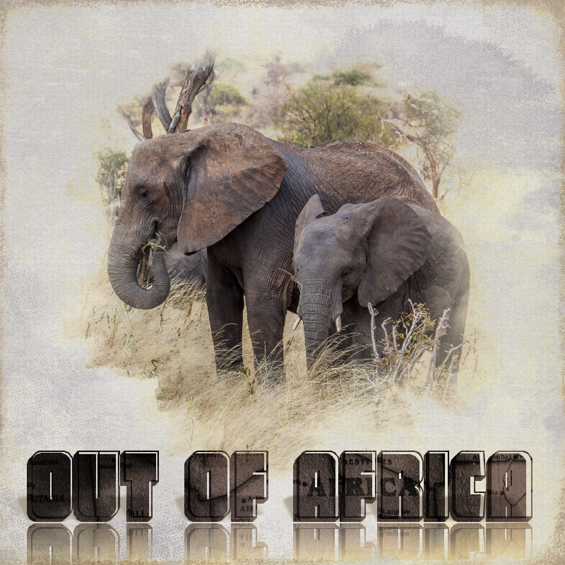 Out of Africa