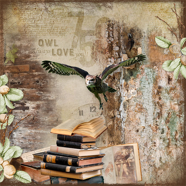 owl always love you