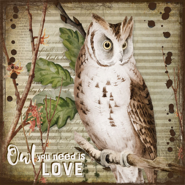 owl you need is love