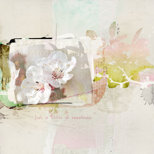 pageweb-art-play-Blossom-1