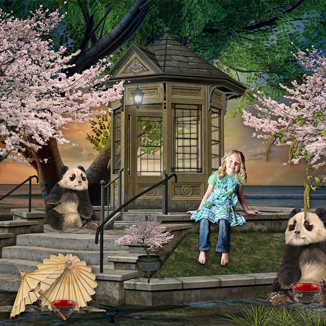 Panda dream