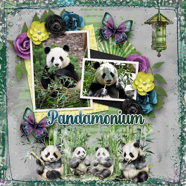 pandamonium-aimeeh-2025Birt.jpg