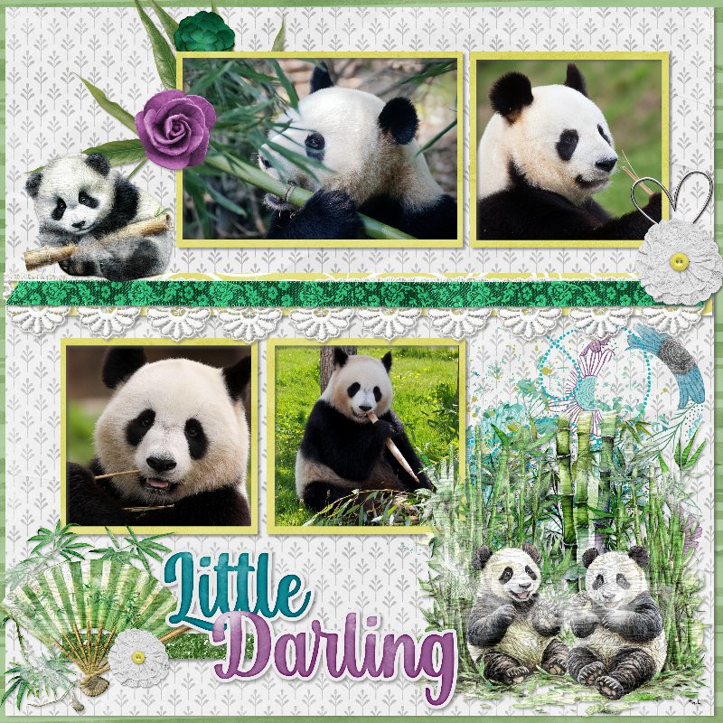 Pandas.jpg