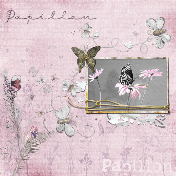 papillon/butterfly
