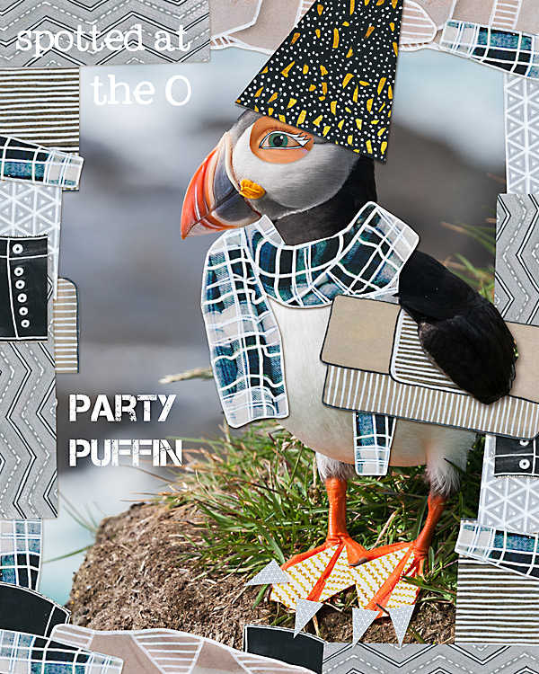 Party puffin