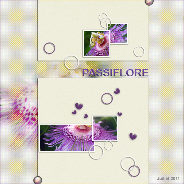 Passiflore