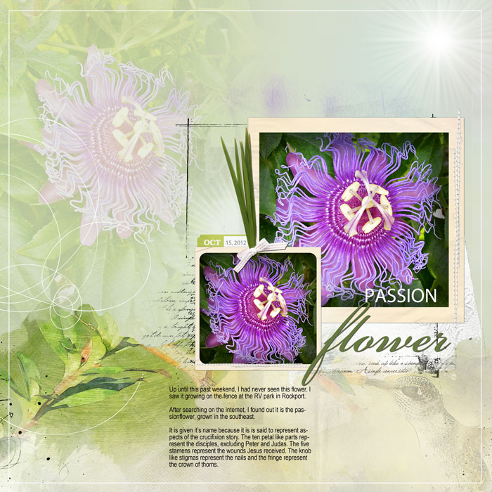 Passionflower