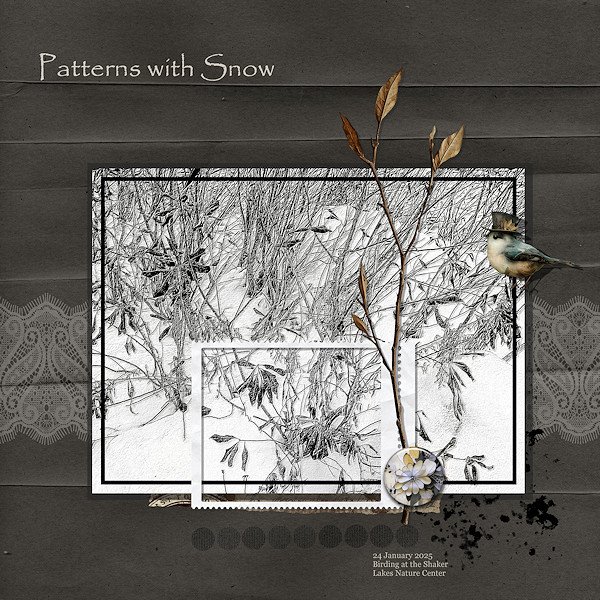 Patterns with Snow