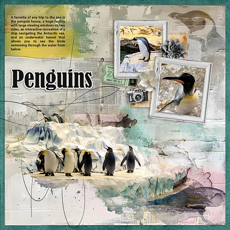 Penguins-2024