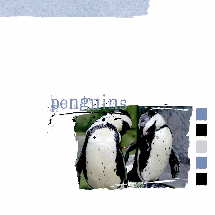 penguins