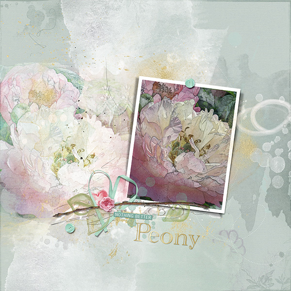 Peony